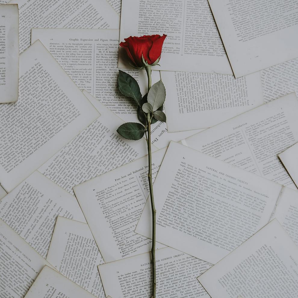 Un couple qui s'est rencontré sur Noulib se donne la main